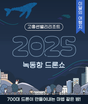 <p>고흥 녹동항 드론쇼</p>
